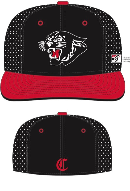 Midnight Panther Flex Hat