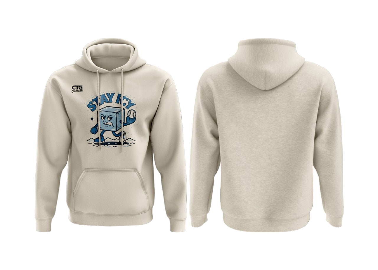 🧊 STAY ICY HOODIE 🧊 – Change The Game Apparel